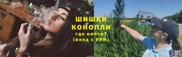 шишки Магадан