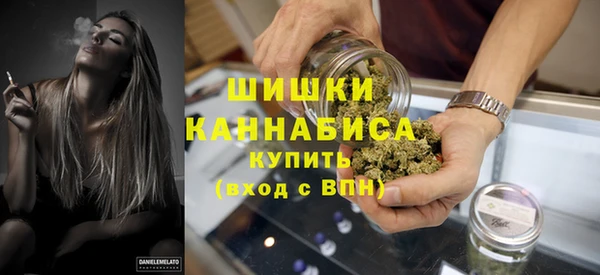 шишки Магадан