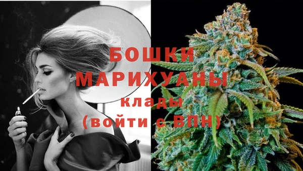 шишки Магадан