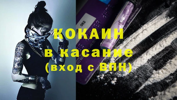 шишки Магадан