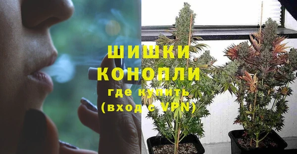 винт Магас