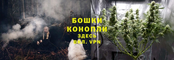 винт Магас