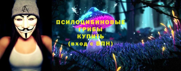 винт Магас