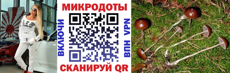 Псилоцибиновые грибы Psilocybine cubensis  Купить  Сосенский 